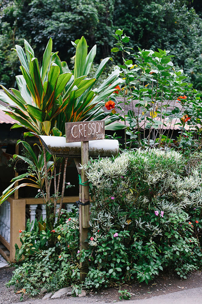 Native flora sprouts out the front of a locals house