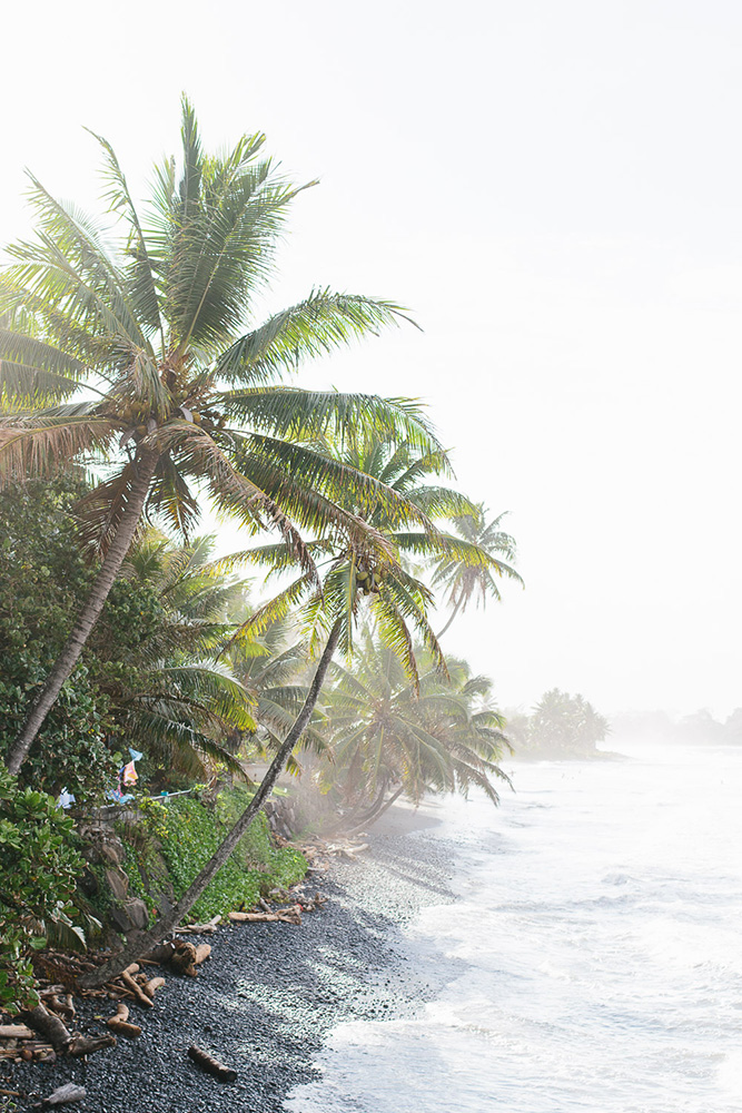 Palm trees off the coast of Tahiti