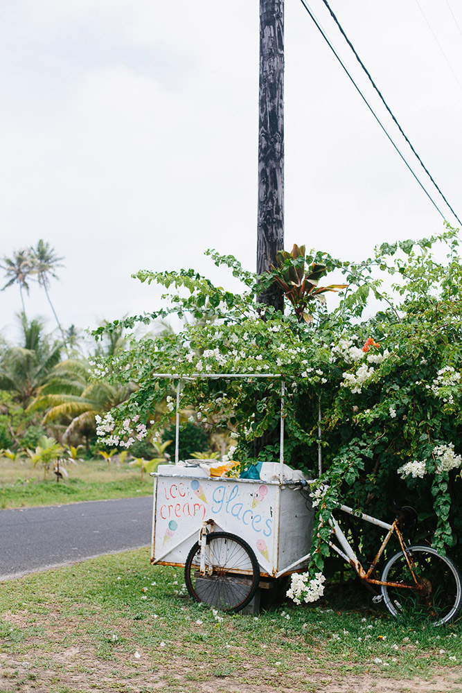 An ice cream cart on the back of a bike