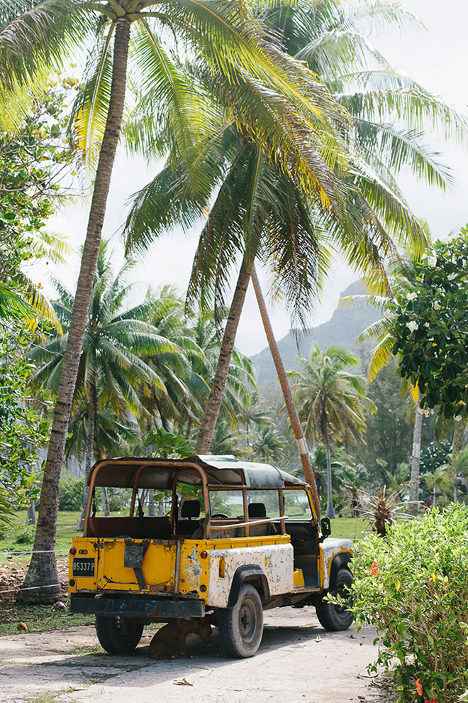 A local mans yellow truck parked under palm trees