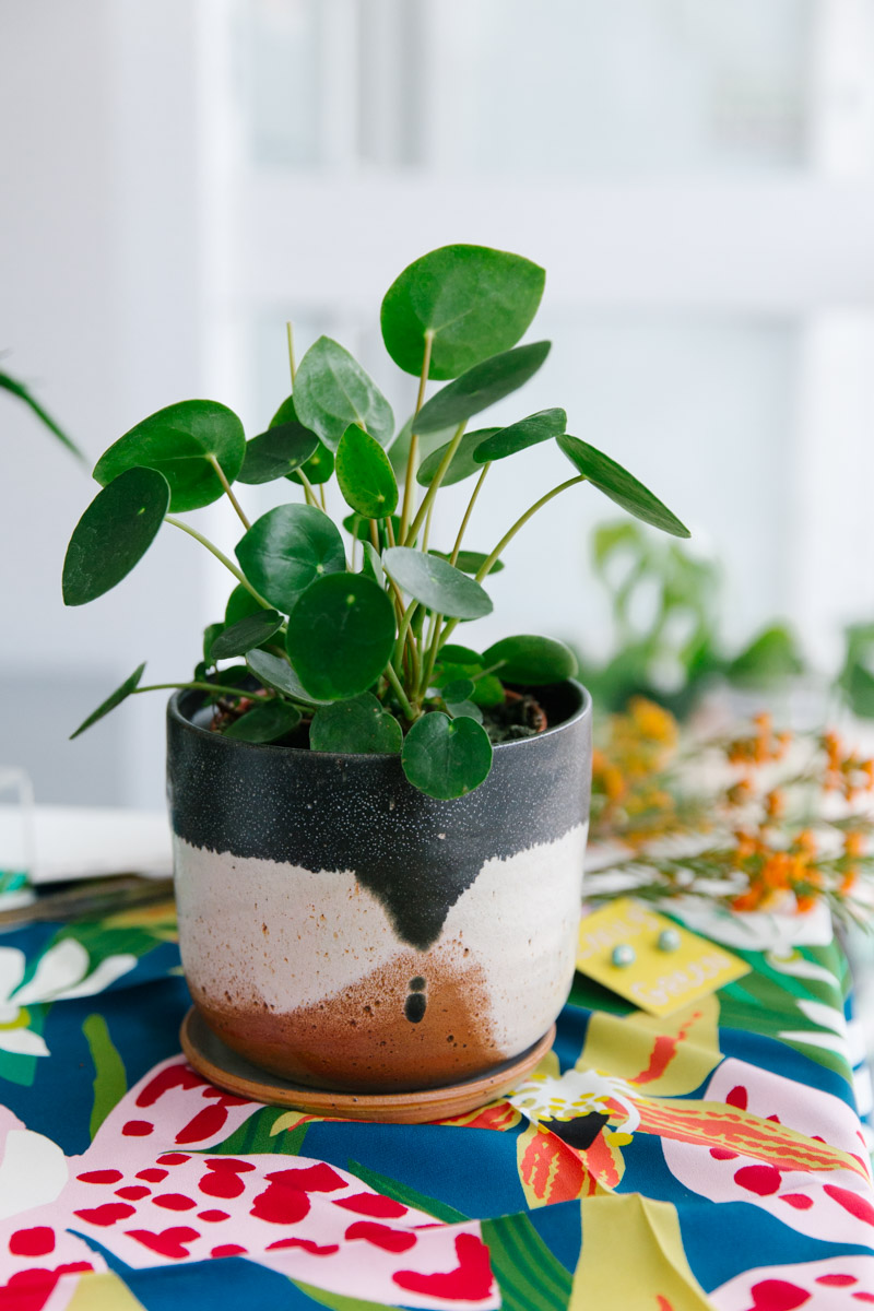Melbourne made ceramic planters by Leaf and Thread